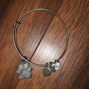 Alex and Ani Bracelet